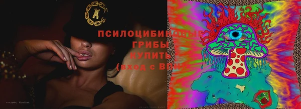 марки lsd Белокуриха
