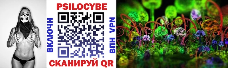 Псилоцибиновые грибы GOLDEN TEACHER  Купить закладки  Долинск 